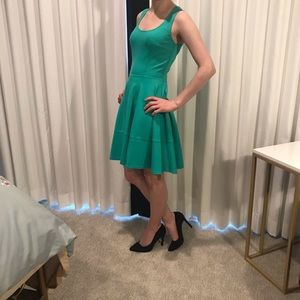 Fun fit and flair real dress